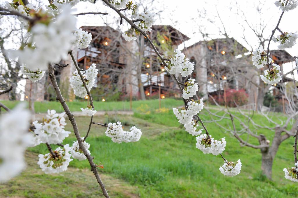 Vathyskia Guesthouse Kato Sinikia Trikalon 외부 사진